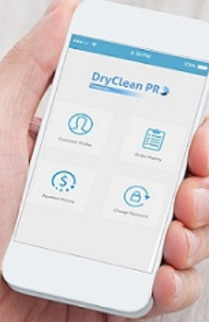 screenshot of DryClean PRO